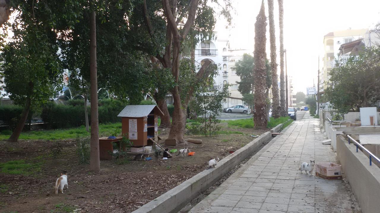 Lca2 Flat For You Apartment Larnaca Zewnętrze zdjęcie