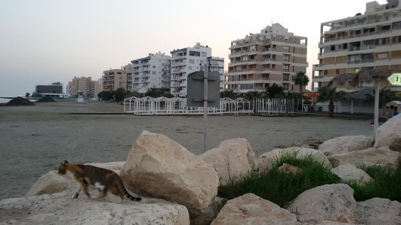 Lca2 Flat For You Apartment Larnaca Zewnętrze zdjęcie